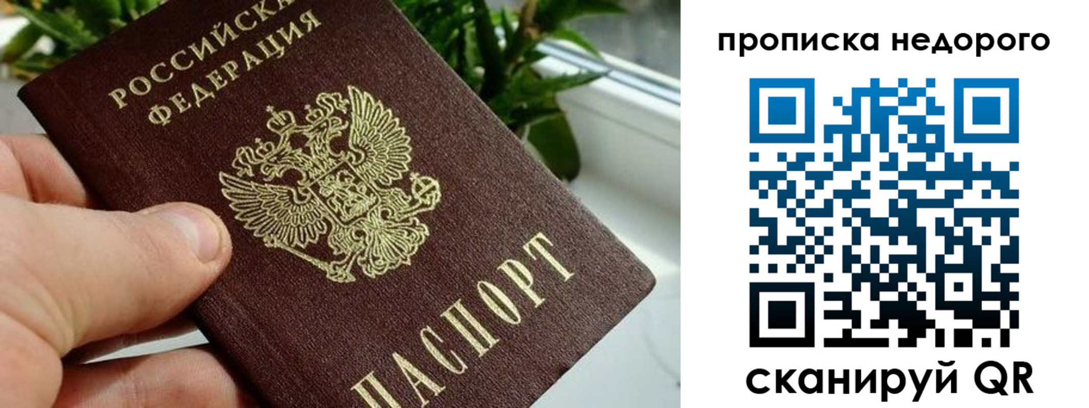 прописка для кредита в Каргополе